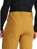 Miniatura 2117 of Sweden, Nelkerim pantalones de esquí hombres Gold marrón 