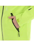 Miniatura 4F, H4Z20-KUMN003 chaqueta de esquí hombres canary verde