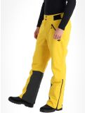 Miniatura 4F, Trousers Fnk  M343 pantalones de esquí hombres Yellow amarillo 