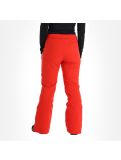 Miniatura Almgwand, Schusselkopf pantalones de esquí mujeres gris, rojo 