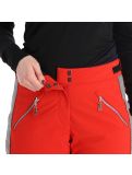 Miniatura Almgwand, Schusselkopf pantalones de esquí mujeres gris, rojo 