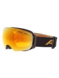 Miniatura Alpina, Granby Q-lite gafas de esquí unisex Black Gold Matt negro 