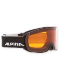 Miniatura Alpina, Nakiska gafas de esquí unisex Black Matt negro 