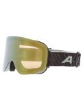 Miniatura Alpina, Penken Q-Lite gafas de esquí unisex Willow Green Matt verde 