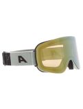 Miniatura Alpina, Penken Q-Lite gafas de esquí unisex Willow Green Matt verde 