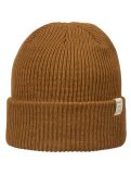 Miniatura Cairn, Milo gorro hombres Caramel marrón 