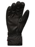 Miniatura Cairn, Styl 2 M C-Tex guantes de esquí hombres Dark Grey Light gris, negro 