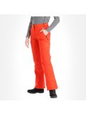 Miniatura CMP, 3W18596N pantalones de esquí mujeres grenadine rojo 