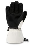 Miniatura Dakine, Scout guantes de esquí hombres Silver Lining blanco 