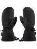 Miniatura Dakine, Sequoia Gore-Tex guantes mujeres Black negro 