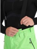 Miniatura Dare2b, Achieve II pantalones de esquí hombres Green Flash verde 