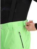 Miniatura Dare2b, Achieve II pantalones de esquí hombres Green Flash verde 