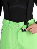 Miniatura Dare2b, Achieve II pantalones de esquí hombres Green Flash verde 