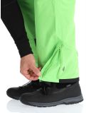 Miniatura Dare2b, Achieve II pantalones de esquí hombres Green Flash verde 