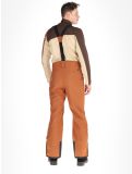 Miniatura Dare2b, Achieve II pantalones de esquí hombres Mocha Bisque beige 