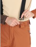 Miniatura Dare2b, Achieve II pantalones de esquí hombres Mocha Bisque beige 