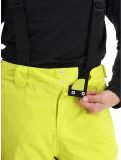 Miniatura Dare2b, Achieve II pantalones de esquí hombres Neon Spring verde 