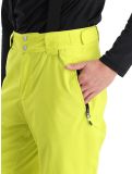 Miniatura Dare2b, Achieve II pantalones de esquí hombres Neon Spring verde 