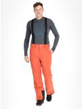 Miniatura Dare2b, Achieve II pantalones de esquí hombres Orange Rust naranja 