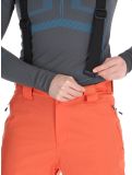 Miniatura Dare2b, Achieve II pantalones de esquí hombres Orange Rust naranja 