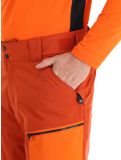 Miniatura Dare2b, Baseplate pantalones de esquí hombres Rooibos Tea / Puffins Orange naranja 