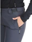 Miniatura Dare2b, Diminish pantalones de esquí mujeres Ebony Grey gris 