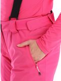 Miniatura Dare2b, Diminish pantalones de esquí mujeres Pure Pink rosa 