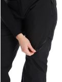 Miniatura Dare2b, Ice pantalones de esquí mujeres Black negro 