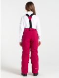 Miniatura Dare2b, Outmove II pantalones de esquí niños Berry Pink rosa 