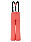 Miniatura Dare2b, Outmove II pantalones de esquí niños Orange Rust naranja 