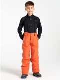 Miniatura Dare2b, Outmove II pantalones de esquí niños Orange Rust naranja 