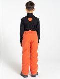 Miniatura Dare2b, Outmove II pantalones de esquí niños Orange Rust naranja 