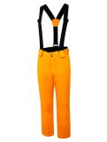 Miniatura Dare2b, Outmove II pantalones de esquí niños PuffinsOrnge naranja, negro 