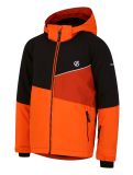 Miniatura Dare2b, Steazy chaqueta de esquí niños Puffins Orange/Black naranja, negro 