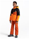 Miniatura Dare2b, Steazy chaqueta de esquí niños Puffins Orange/Black naranja, negro 