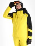 Miniatura Descente, Chester chaqueta de esquí hombres Warbler Yellow amarillo, negro 