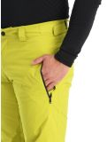 Miniatura Helly Hansen, Legendary pantalones de esquí hombres Bright Moss verde 