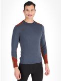 Miniatura Helly Hansen, Lifa Merino Midweight Crew camisa termoactiva hombres Alpine Frost gris 