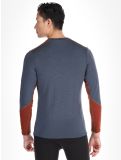 Miniatura Helly Hansen, Lifa Merino Midweight Crew camisa termoactiva hombres Alpine Frost gris 