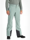 Miniatura Helly Hansen, Rapid pantalones de esquí hombres Cactus verde 