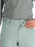 Miniatura Helly Hansen, Rapid pantalones de esquí hombres Cactus verde 