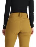 Miniatura Helly Hansen, W Bellissimo 2 pantalones de esquí softshell mujeres Lynx marrón 