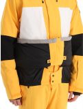 Miniatura Icepeak, Cale chaqueta de esquí hombres Yellow amarillo, gris 