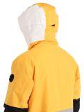 Miniatura Icepeak, Cale chaqueta de esquí hombres Yellow amarillo, gris 