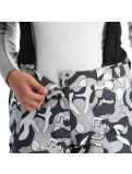 Miniatura Icepeak, Elmshorn pantalones de esquí mujeres granite gris 