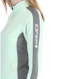 Miniatura Icepeak, Fairview jersey mujeres Aloe verde 