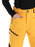 Miniatura Icepeak, Ferrara pantalones de esquí hombres Yellow amarillo 