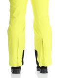 Miniatura Icepeak, Freiberg pantalones de esquí hombres Aloe verde 