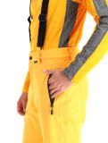 Miniatura Icepeak, Freiberg pantalones de esquí hombres Yellow amarillo 