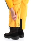 Miniatura Icepeak, Freiberg pantalones de esquí hombres Yellow amarillo 